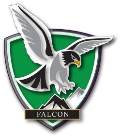 Falcon house emblem 250