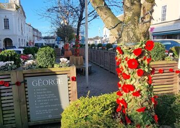 SMCC Remembrance Day Poppies in Town